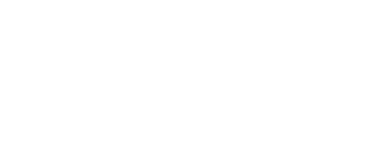 learnetic logo